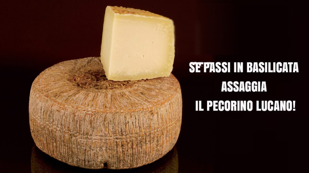 pecorino lucano